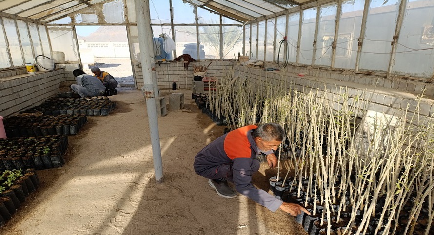 AzwCmsCore.Extend.Fields.StringField