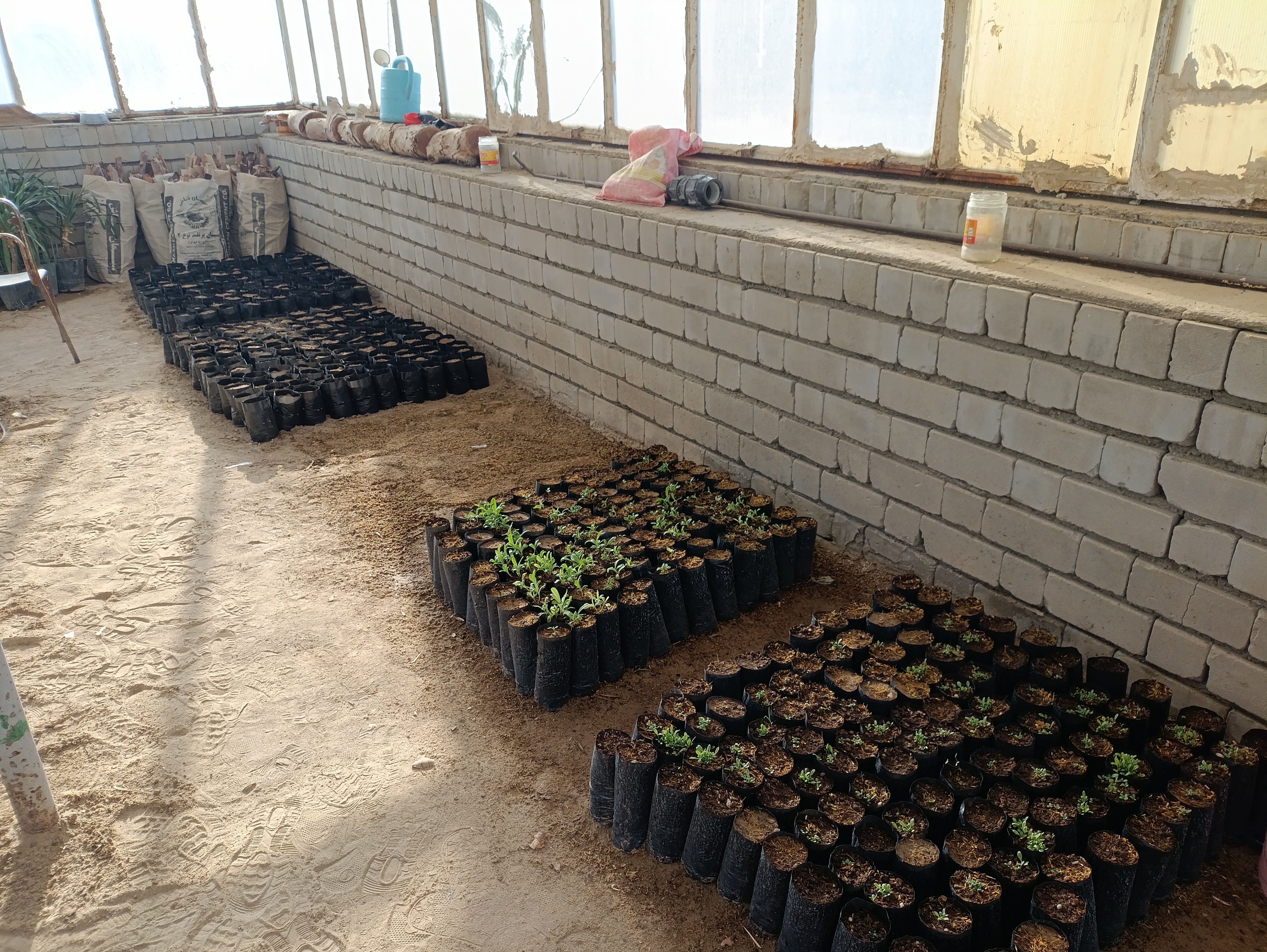 khash cement factory